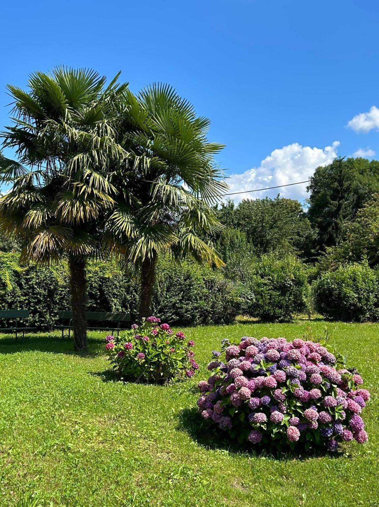 Villa Agnona Camere 博尔戈塞西亚 外观 照片